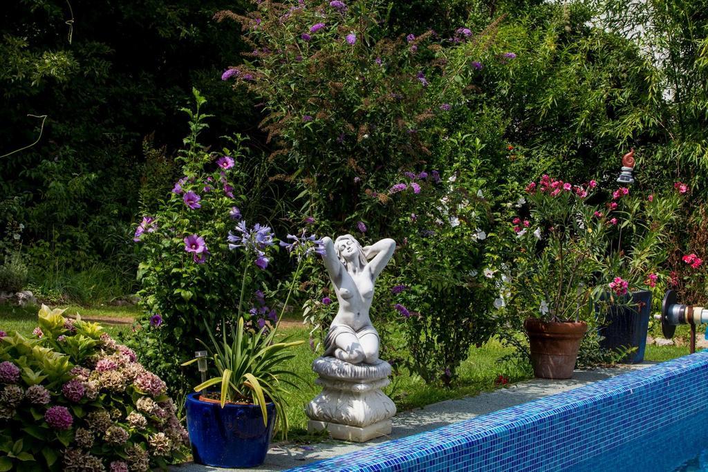 Villa Sonnenschein Hévíz Quarto foto
